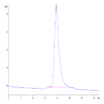 Human IL-10 R alpha Protein (IL1-HM4RA)