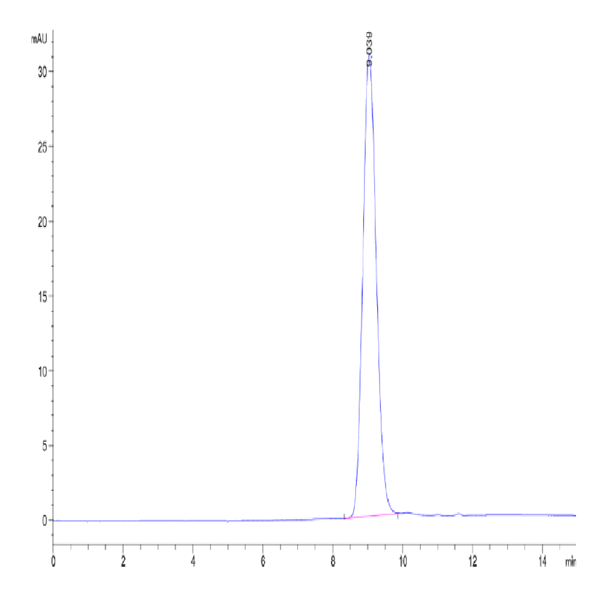 Biotinylated Human IL-10 R alpha Protein (IL1-HM4RAB)