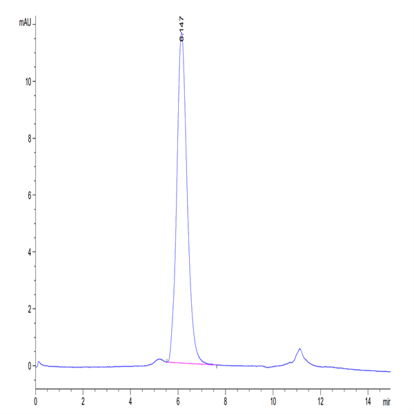 Biotinylated Human IL-17R alpha/CD217 Protein (IL1-HM5RAB)