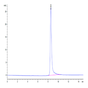Mouse IL-12 Protein (IL1-MM112)