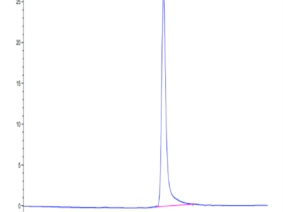 Mouse IL-12 Protein (IL1-MM112)