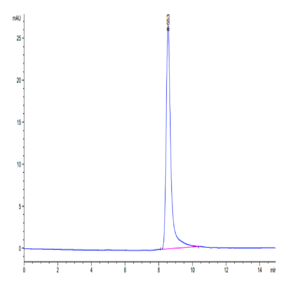 Mouse IL-12 Protein (IL1-MM112) Mouse IL-12 Protein (IL1-MM112)