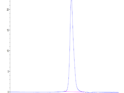 Mouse IL-1R2/IL-1 RII/CD121b Protein (IL1-MM1R2)