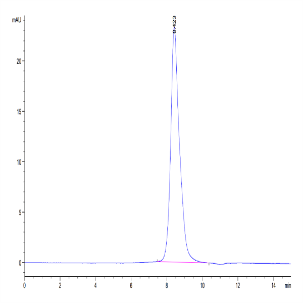 Mouse IL-1R2/IL-1 RII/CD121b Protein (IL1-MM1R2) Mouse IL-1R2/IL-1 RII/CD121b Protein (IL1-MM1R2)