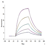 Cynomolgus IL-22 Protein (IL2-CM122)