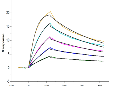 Cynomolgus IL-23 alpha&Mouse IL-12 beta Protein (IL2-CM1AB)