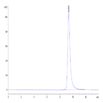 Human IL-25/IL-17E Protein (IL2-HM125)