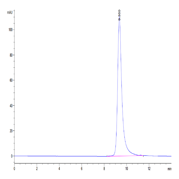 Human IL-25/IL-17E Protein (IL2-HM125)