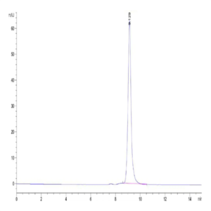 Human IL-23 alpha&IL-12 beta Protein (IL2-HM1AB)
