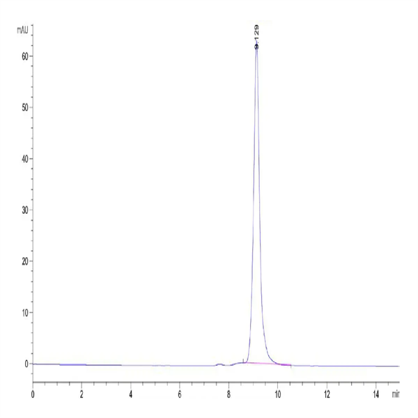 Human IL-23 alpha&IL-12 beta Protein (IL2-HM1AB)