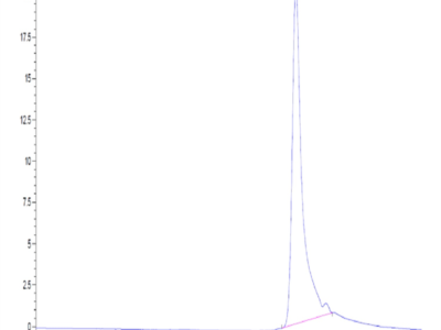 Human IL-20 Protein (IL2-HM220)