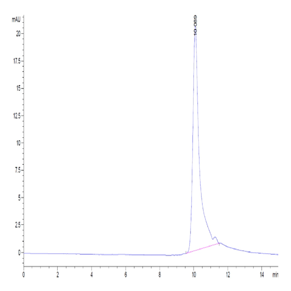 Human IL-20 Protein (IL2-HM220) Human IL-20 Protein (IL2-HM220)
