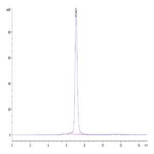 Human IL-20RA Protein (IL2-HM2RA)