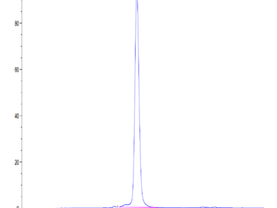 Human IL-20RA Protein (IL2-HM2RA)