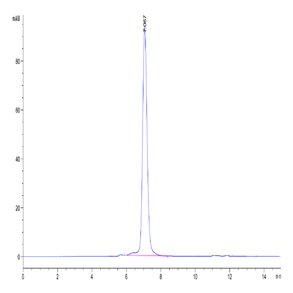 Human IL-20RA Protein (IL2-HM2RA) Human IL-20RA Protein (IL2-HM2RA)