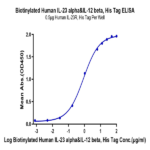Biotinylated Human IL-23 alpha&IL-12 beta Protein (IL2-HM4ABB)