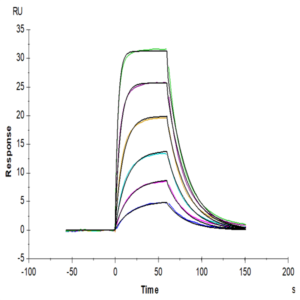 Biotinylated Mouse IL-22 Protein (IL2-ME422B)