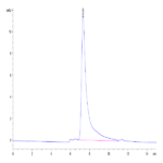 Mouse IL-23 alpha&IL-12 beta Protein (IL2-MM1AB)