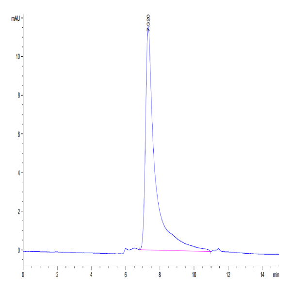 Mouse IL-23 alpha&IL-12 beta Protein (IL2-MM1AB)