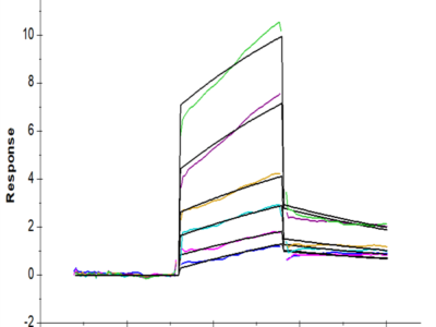 Mouse IL-20RA Protein (IL2-MM2RA)