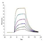 Biotinylated Mouse IL-2 Protein (IL2-MM401B)