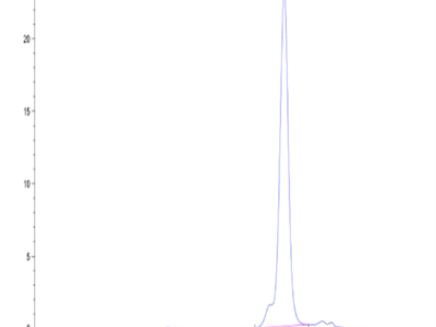 Biotinylated Mouse IL-23A Protein (IL2-MM423B)