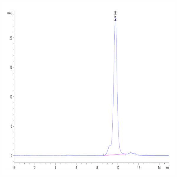 Biotinylated Mouse IL-23A Protein (IL2-MM423B) Biotinylated Mouse IL-23A Protein (IL2-MM423B)