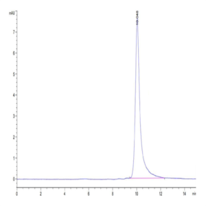 Cynomolgus IL-3 Protein (IL3-CE101)