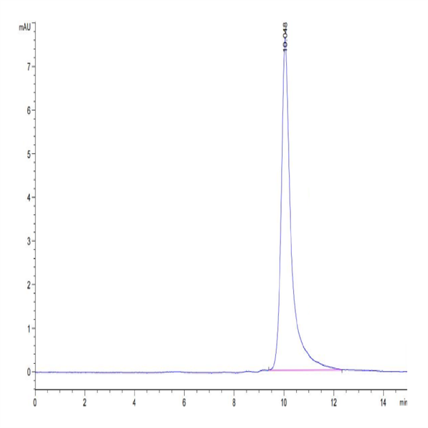 Cynomolgus IL-3 Protein (IL3-CE101)