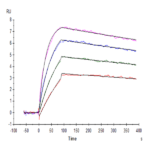 Cynomolgus IL-31 Protein (IL3-CM131)