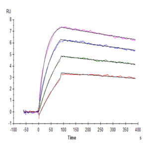 Cynomolgus IL-31 Protein (IL3-CM131)
