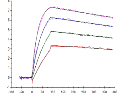 Cynomolgus IL-31 Protein (IL3-CM131)