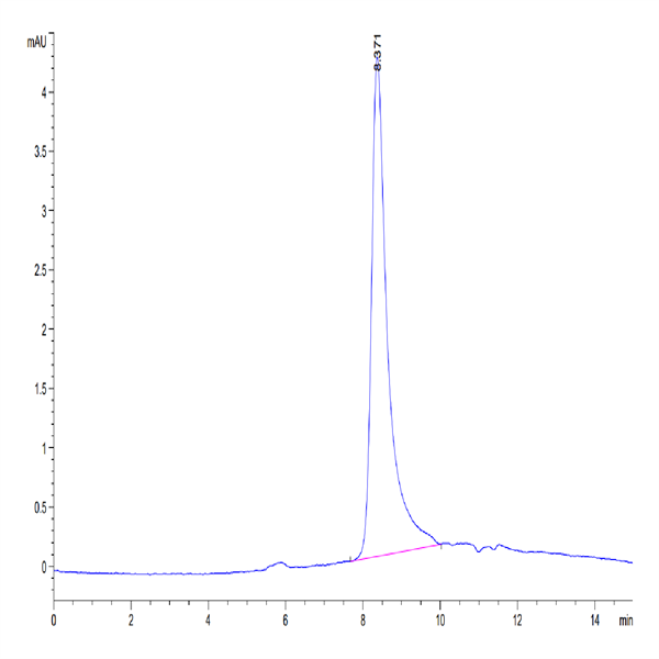 Cynomolgus IL-31 Protein (IL3-CM131)