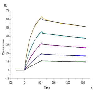 Cynomolgus IL-33 Protein (IL3-CM133)