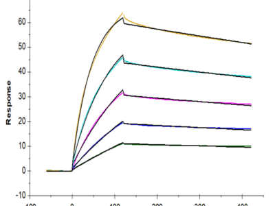 Cynomolgus IL-33 Protein (IL3-CM133)