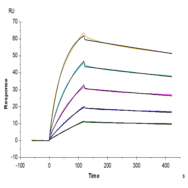 Cynomolgus IL-33 Protein (IL3-CM133) Cynomolgus IL-33 Protein (IL3-CM133)