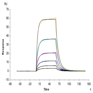 Cynomolgus IL-3 R alpha/CD123 Protein (IL3-CM1RA)