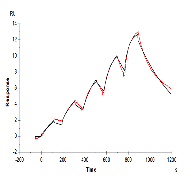 Cynomolgus IL-3 R alpha/CD123 Protein (IL3-CM1RA)