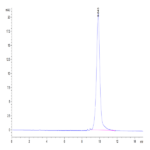 Biotinylated Human IL-3 Protein (IL3-HE401B)
