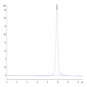 Biotinylated Human IL-3 Protein (IL3-HE401B)