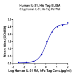 Human IL-31 Protein (IL3-HM101)