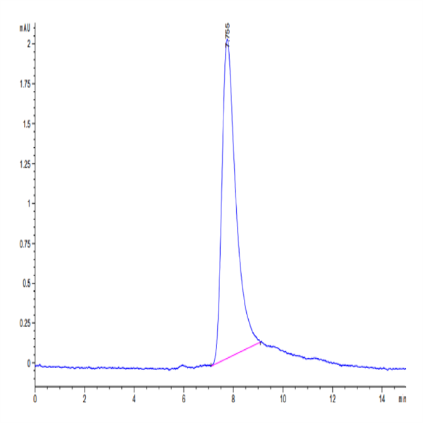 Human IL-31 Protein (IL3-HM101)