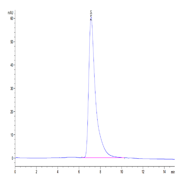 Human IL-3 R alpha/CD123 Protein (IL3-HM1RA)