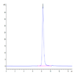 Biotinylated Human IL-3 R alpha/CD123 Protein (IL3-HM1RAB)