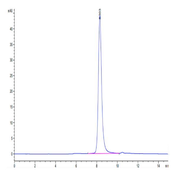 Biotinylated Human IL-3 R alpha/CD123 Protein (IL3-HM1RAB)