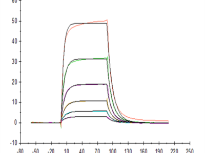 Human IL-3 Protein (IL3-HM201)