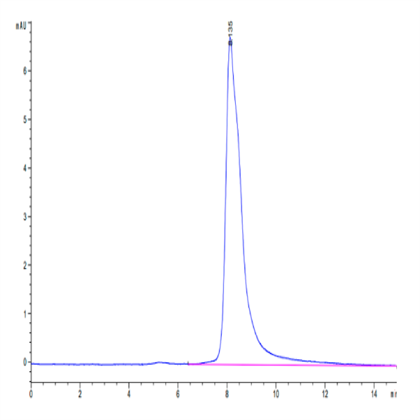 Cynomolgus IL-4 Protein (IL4-CM101)