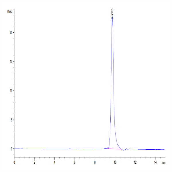 Human IL-4 Protein (IL4-HM001)
