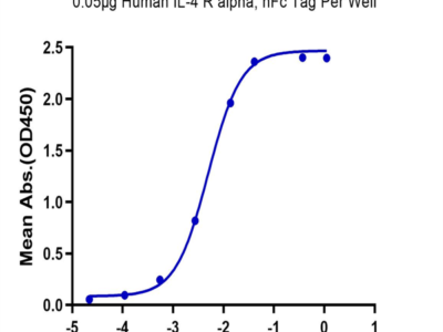 Biotinylated Human IL-4 Protein (IL4-HM401B)