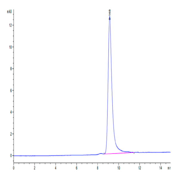 Cynomolgus IL-5 Protein (IL5-CM101)